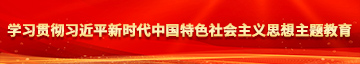 抽插美女骚逼学习贯彻习近平新时代中国特色社会主义思想主题教育